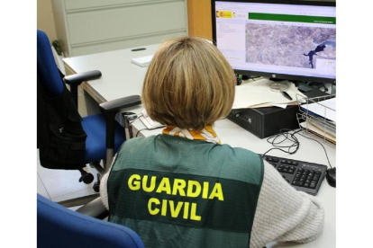 Desarticulada en Segovia una organización por estafas a la PAC con cuatro detenidos y 18 investigados en varias provincias.-ICAL
