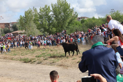 Celebración del Toro de la Vega en Tordesillas.- PHOTOGENIC