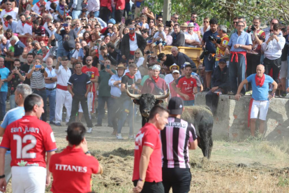 Celebración del Toro de la Vega en Tordesillas.- PHOTOGENIC