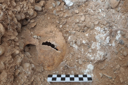 Uno de los cráneos encontrados en la excavación de la fosa del Carmen.- E. M.