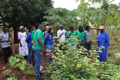 Un agricultor de Ghana explica a algunos de los miembros de este proyecto la situación del campo.  .-CARTIF