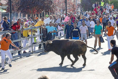 Imagen de archivo de un encierro en Laguna de Duero, municipio que ya está en proceso de contratar los festejos para este año.-PHOTOGENIC