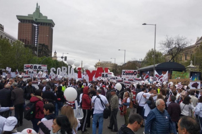 Manifestantes sorianos hoy en Madrid.-SORIA YA