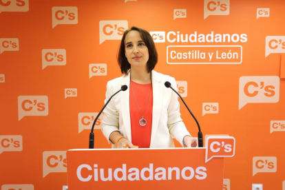 Imagen de la concejala de Ciudadanos, Pilar Vicente-ICAL