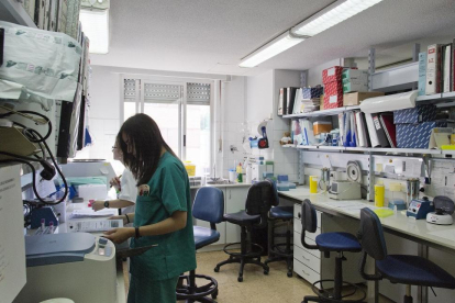Imagen de uno de los laboratorios del Instituto de Investigación Biomédica de Salamanca, Ibsal.-ICAL
