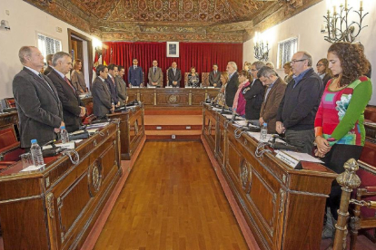 Minuto de silencio en el pleno de la Diputación en recuerdo de las víctimas de los atentados de París.-E.M