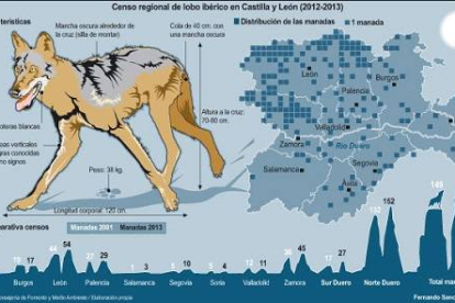 Censo regional de lobo ibérico en Castilla y León-Ical