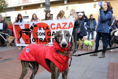 Manifestación contra el maltrato animal y la caza en febrero del 2019 en Valladolid.-ICAL - ARCHIVO