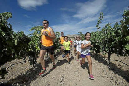 Varios atletas corren entre viñedos de la provincia de Valladolid, protagonistas del circuito "Corriendo entre viñas"-El Mundo