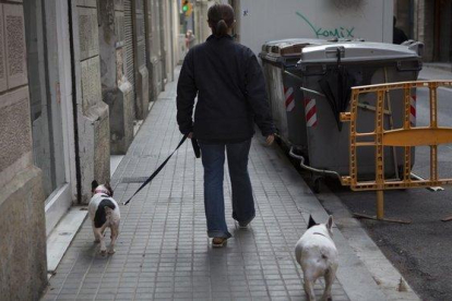Un hombre pasea a dos perros por la calle.| E.M.