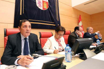 El consejero de Sanidad, Antonio Sáez Aguado, en la comparecencia ayer en las Cortes de Castilla y León.-ICAL