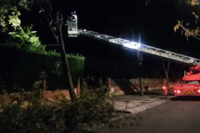 Intervenciones de los bomberos en Arroyo por la caída de árboles.- @BOMBEROSDIP_VLL