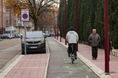 Carril bici en la calle de la Salud de Valladolid. J.M. LOSTAU