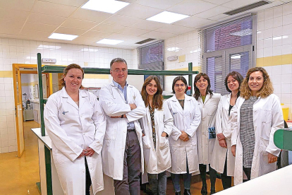 Miembros del grupo de BioSepsis del IBSAL en el Hospital Universitario Río Hortega de Valladolid. EL MUNDO