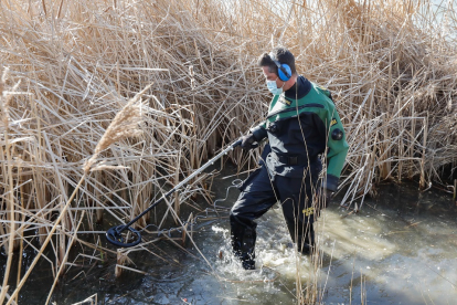 Un agente del Geas de Valladolid rastrea los juncos del lago artificial de Laguna con un detector de metales en busca del arma. - J.M. LOSTAU
