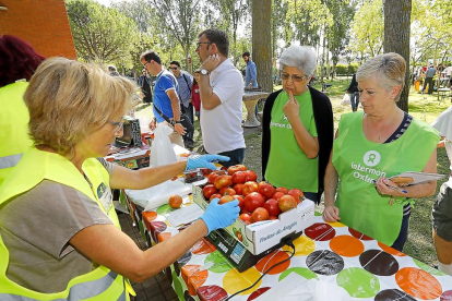 Los productos como tomates, patatas, pimientos y demás fueron donados por las Huertas Ecológicas y Urbanas.-J.M. LOSTAU