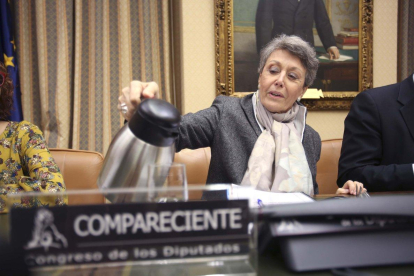 La administradora provisional única de RTVE, Rosa María Mateo, durante su comparecencia por su sociedad patrimonial en el Congreso.-DAVID CASTRO