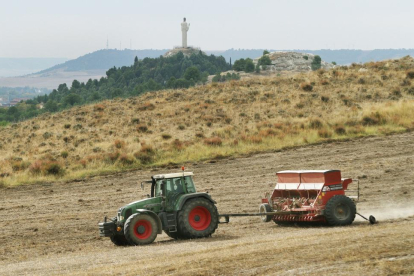 Un agricultor realiza labores de sementera en las inmediaciones de la capital palentina.-BRÁGIMO
