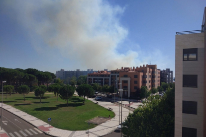 Humo del incendio en Pinar de Jalón - E.P