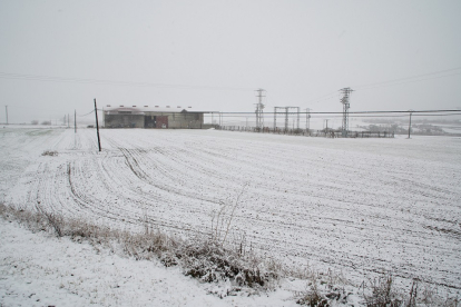 Nieve en la A-62 en el término municipal de Geria.- ICAL