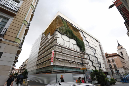 Obras de desmantelamiento del jardín vertical de El Corte Inglés de la calle Constitución. -PHOTOGENIC
