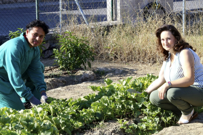 La agricultora ecológica Carmen Martín junto al operario de mantenimiento Luis Antonio Santos, durante un curso de su disciplina impartido el pasado curso en la ciudad de Segovia. / ICAL