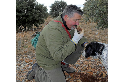 Un recolector de trufa valora un ejemplar recién encontrado por su perro.-E. M.