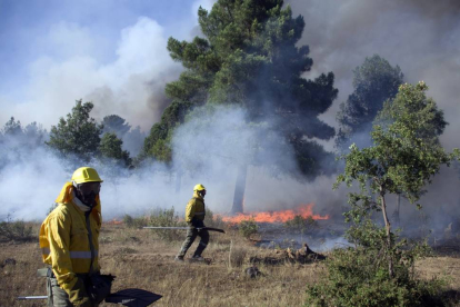 Un grupo de bomberos intenta sofocar el fuego declarado en Barcebalejo(Soria)-Ical