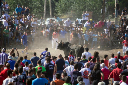 Celebración del festejo del Toro de la Vega de Tordesillas.-R. VALTERO / ICAL