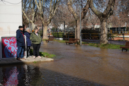 Inundación en el Paseo del Cauce de Valladolid por una rotura en el 'anillo mil' - J.M. LOSTAU