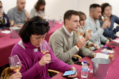 La primera cata de vino diseñado por inteligencia artificial promovida por la UEMC y celebrada en la Oficina de Turismo de Valladolid - PHOTOGENIC