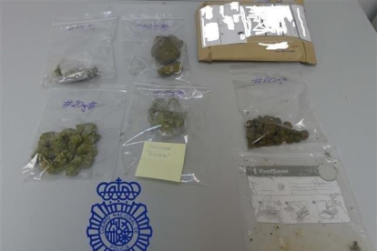 Droga incautada en un paquete postal llegado a Ávila desde Estados Unidos.-POLICÍA NACIONAL