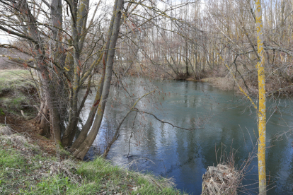 Zona del río Carrión, en Husillos, donde apareció el cadaver. | ICAL