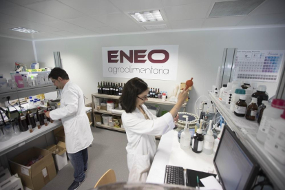 Miembros de la empresa Eneo Agroalimentaria toman muestran para su posterior análisis en las instalaciones de la Bioincubadora de Castilla y León.-PHOTOGENIC / JOSÉ C. CASTILLO