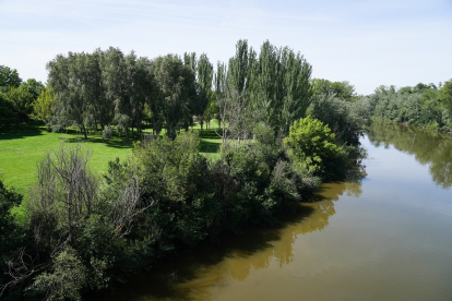 Parque Soto de Medinilla junto al río Pisuerga en el barrio España.- J.M. LOSTAU