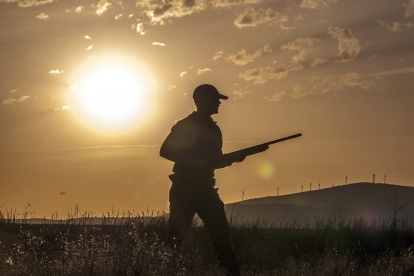 Un cazador durante una jornada de caza el pasado año en la provincia de Soria. ICAL