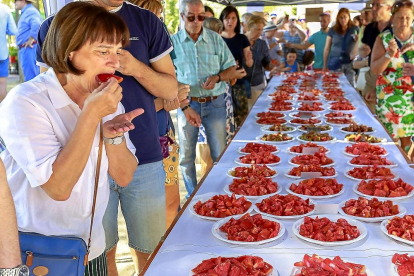 Vecinos de la localidad de Tudela de Duero catan las distintas variedades de tomates.-J.M. LOSTAU