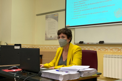 María Sánchez comparece en la presentación del Presupuesto de 2021 para Medio Ambiente. E.M.