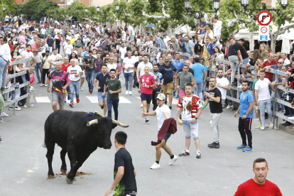 Encierro celebrado ayer en Medina del Campo con motivo del Toro de la Feria 2022. - J.M. LOSTAU