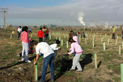 Un grupo de alumnos del CEIP Isabel La Católica planta árboles en el Jardín de los Sueños, situado en el Soto de la Medinilla.-EL MUNDO