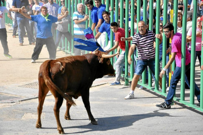 Encierro urbano en la localidad vallisoletana de Mojados.-EL MUNDO