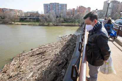 Un ciudadano observa desde el Puente Mayor, ayer, los troncos arrastrados por el río. J.M. LOSTAU