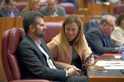 Luis Tudanca y Virginia Barcones, en una imagen de archivo durante un Pleno de las Cortes.-J.M.LOSTAU