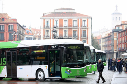 Flota de nuevos buses, en la plaza Mayor de Valladolid.-ICAL
