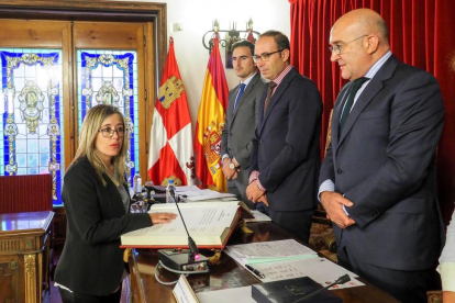 La socialista María del Carmen Aceves tomó posesión como diputada provincial en el pleno de ayer.-EL MUNDO
