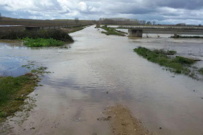Tierras inundadas por las lluvias en la localidad zamorana de Santa Colomba-ICAL