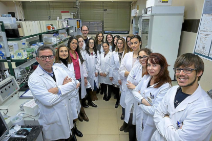 Participantes en la nueva investigación sobre un cáncer de hígado muy agresivo en el Instituto de Investigación Biomédica de Salamanca.-ENRIQUE CARRASCAL