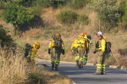 Miembros de las brigadas de extinción trabajan por apagar el incendio en la localidad de San Pedro Mallo, perteneciente al municipio de Toreno (León)
