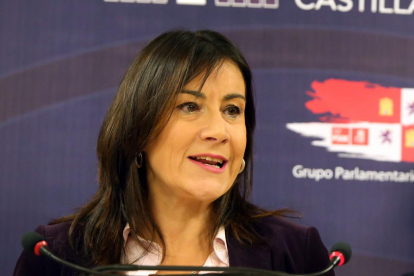 La secretaria de Organización del PSOE de Castilla y León, Ana Sánchez, en una imagen de archivo.-ICAL