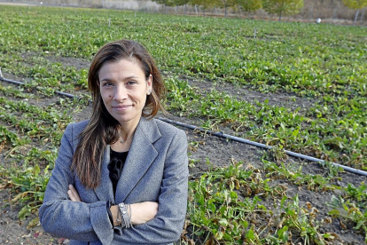 La directora de la Asociación de Investigación para la Mejora del Cultivo de la Remolacha Azucarera (Aimcra), Elba Rosique.-J. M. LOSTAU